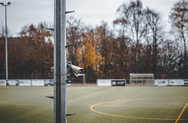 更好母亲的 更好母亲的