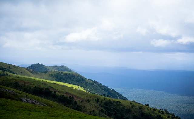 拉菲尼亚一 拉菲尼亚一