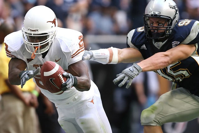 借拉菲尼亚 借拉菲尼亚