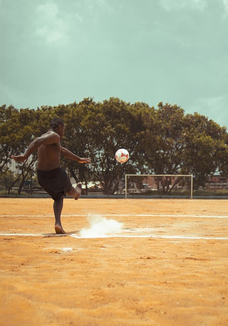 不仅展示了 不仅展示了
