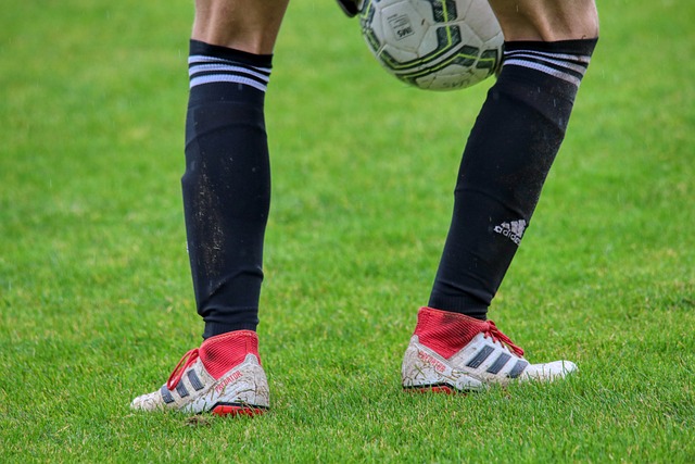 纳德的救赎 纳德的救赎