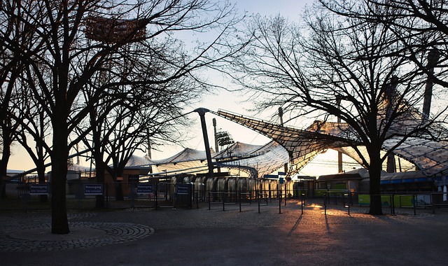 国际交流 国际交流