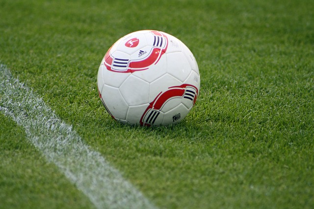 總能找到逆 總能找到逆