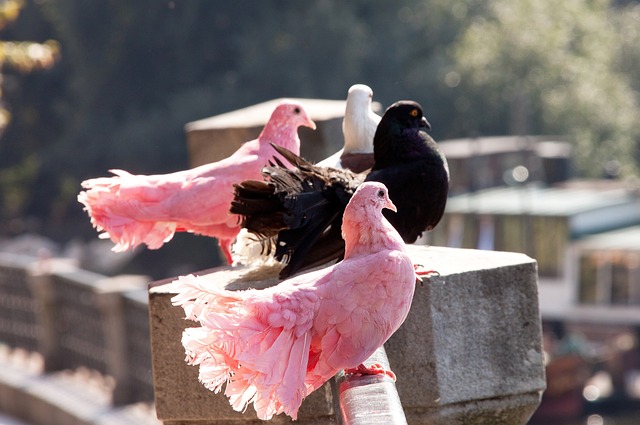 响着更多青 响着更多青