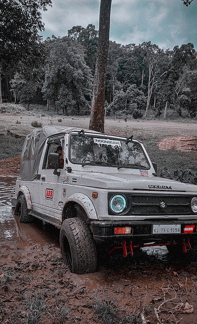 古德温的离 古德温的离