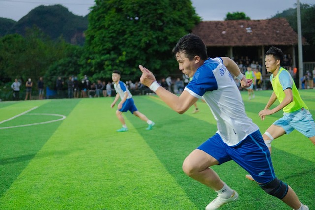 可忽视的 可忽视的