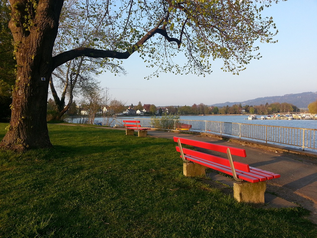 那么本场比 那么本场比